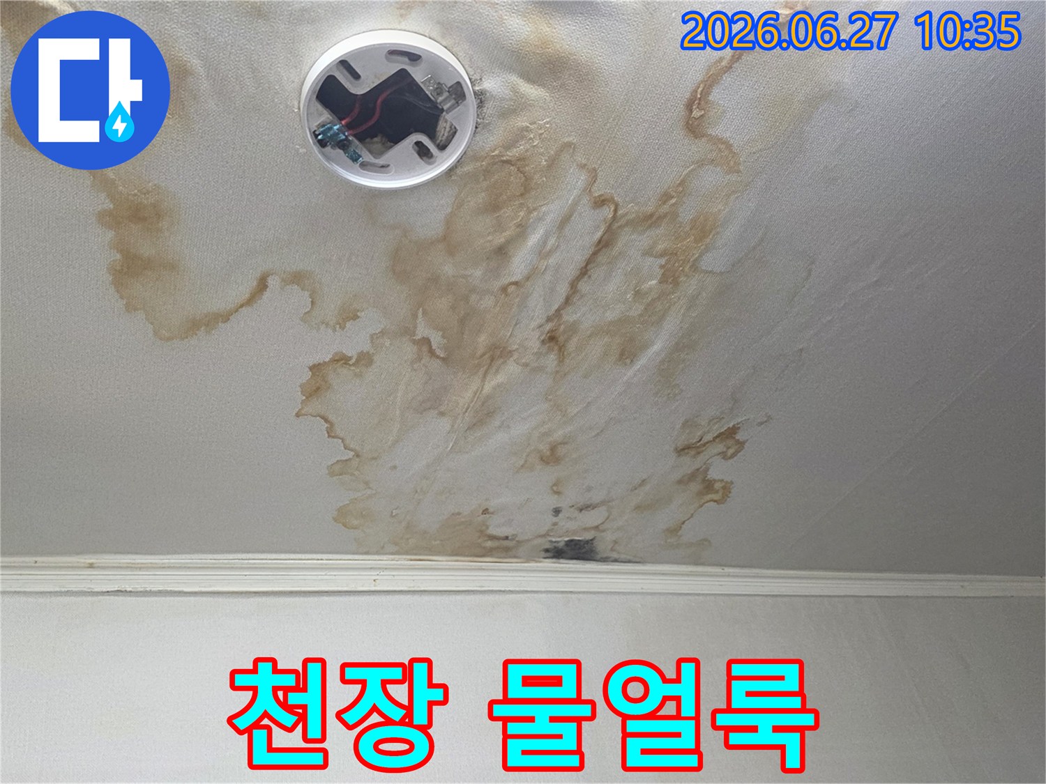 천장 누수로 인한-벽지 손상과-곰팡이 발생-가능성을 보여주는 사진