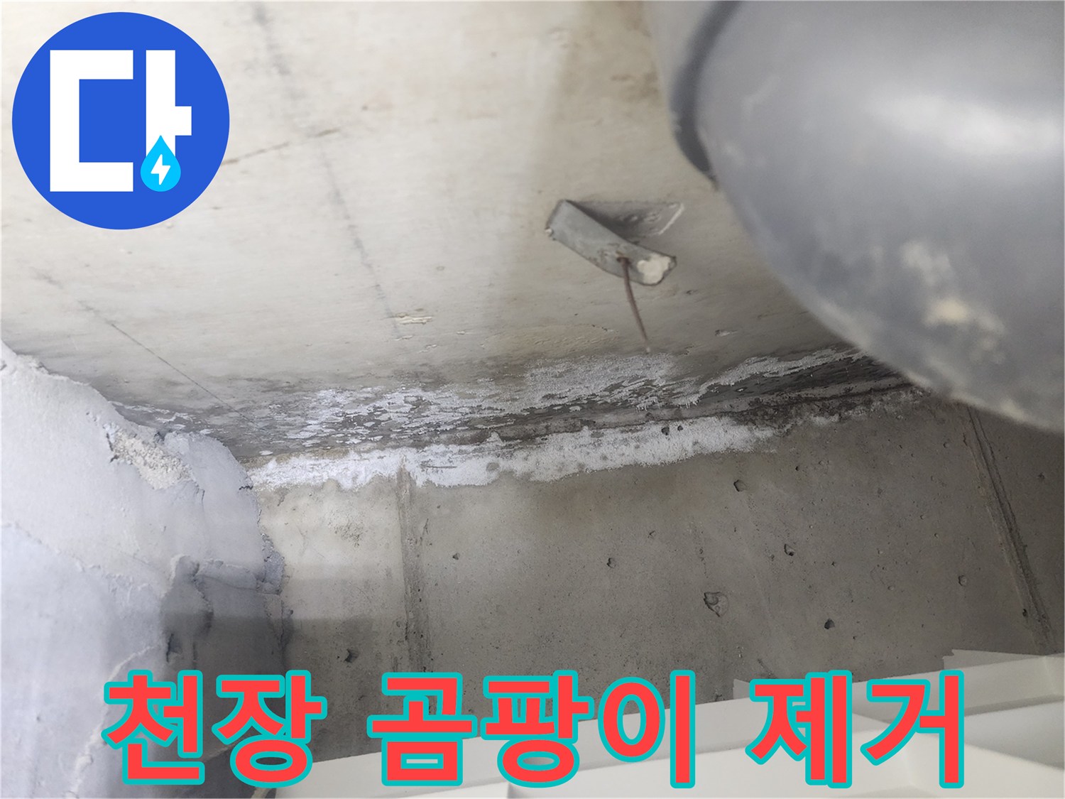도봉구 시루봉로2길 아파트에서-천장 누수로 인해-발생한 곰팡이를-제거하는 현장입니다