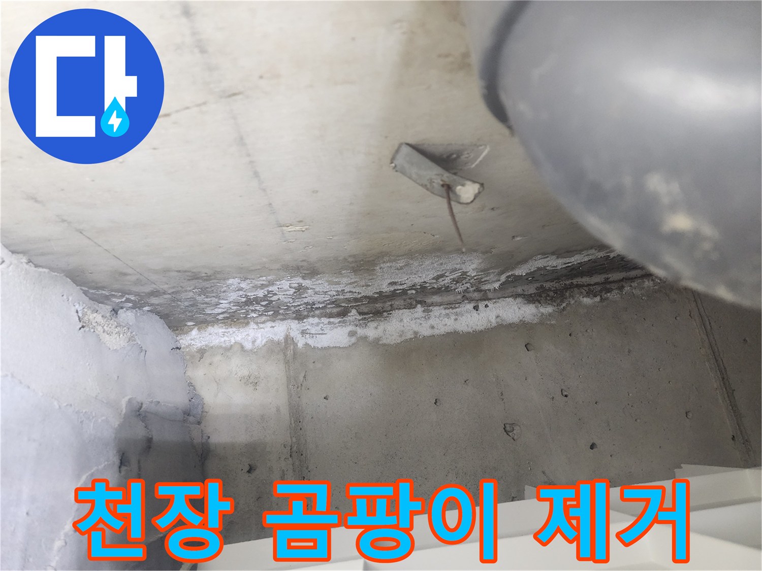 도봉구 시루봉로2길 아파트에서-천장 누수로 인해-발생한 곰팡이를-제거하는 현장입니다