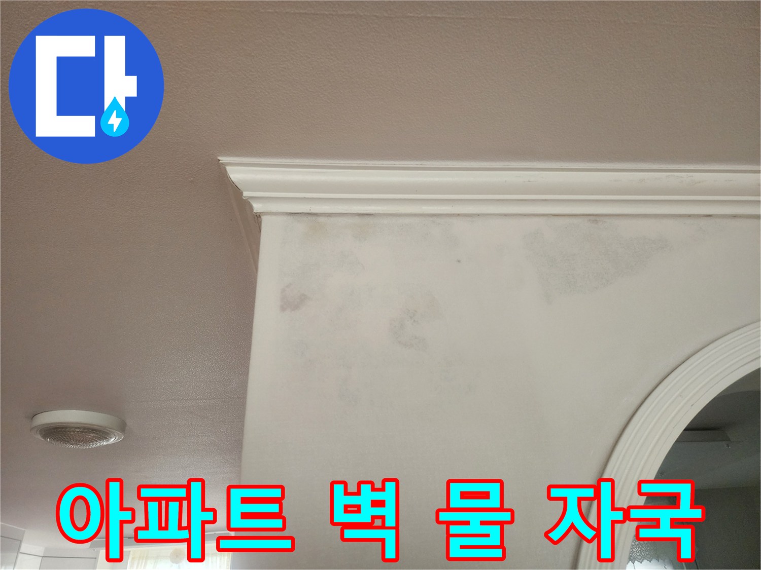 아파트 내부 벽에 발생한 물 자국으로-누수 전문가의 정밀 진단이 시급합니다.