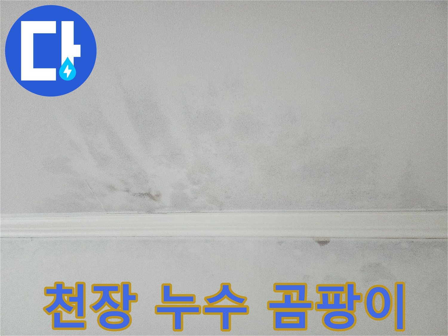 천장에 발생한 누수로 인한 곰팡이와 물자국-위생과 구조적 문제 유발