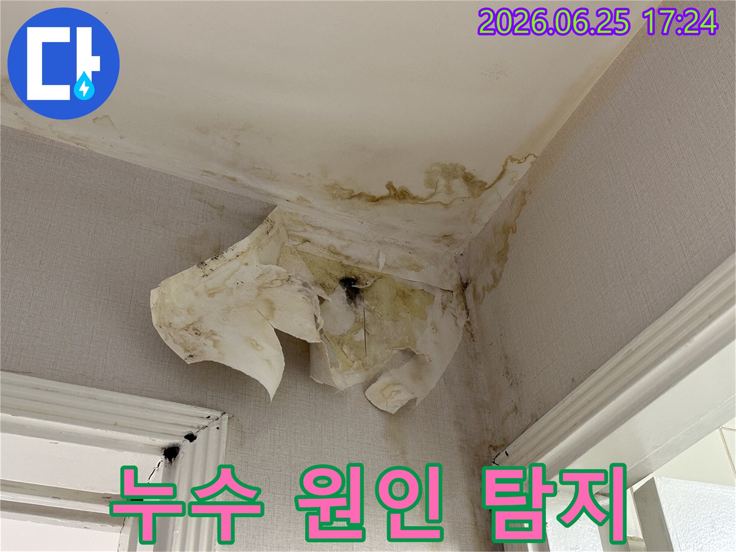 누수로 인해-천장과 벽지가-물에 젖어 변색되고-곰팡이가 발생한-심각한 피해 현장입니다
