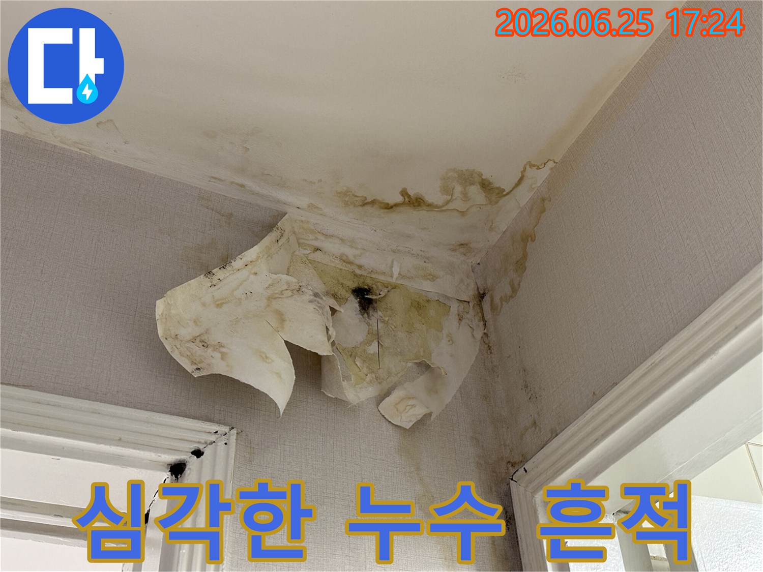 아파트 내부-천장 모서리에서-발견된 누수 흔적으로-벽지가 벗겨지고-얼룩이 진 상태를-담고 있습니다