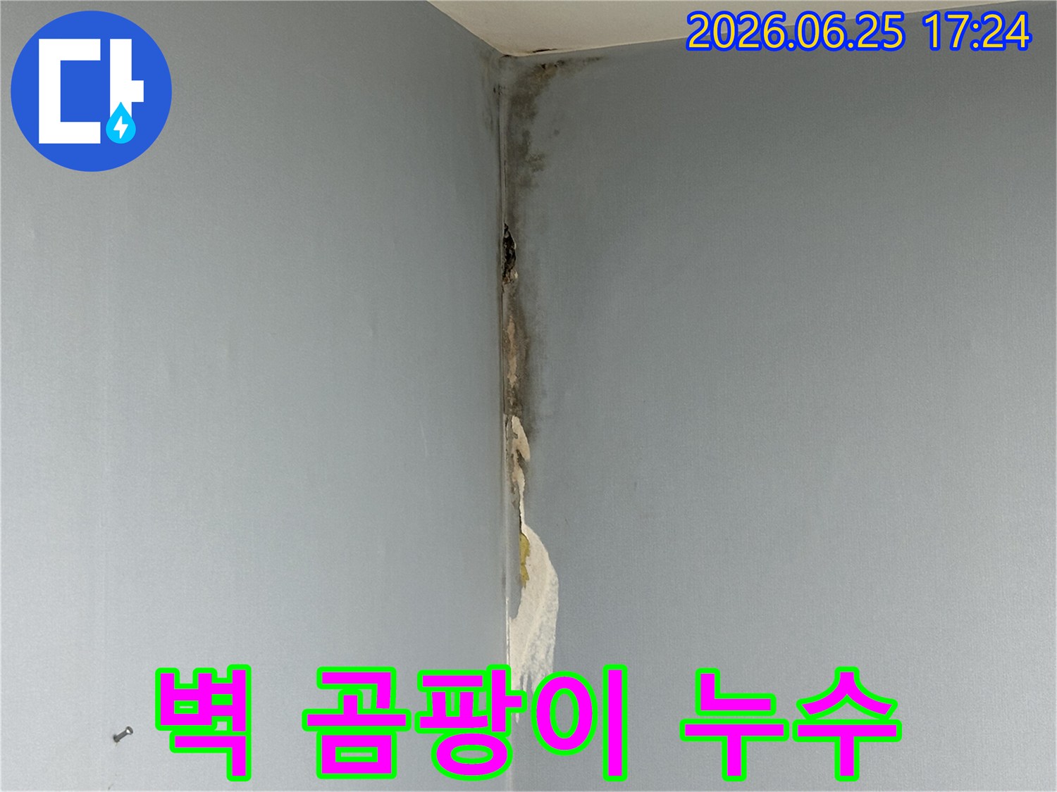 아파트-벽-코너에-발생한-심한-물샘-현상과-그로-인한-벽지-손상-그리고-곰팡이-번짐을-보여주는-사진입니다