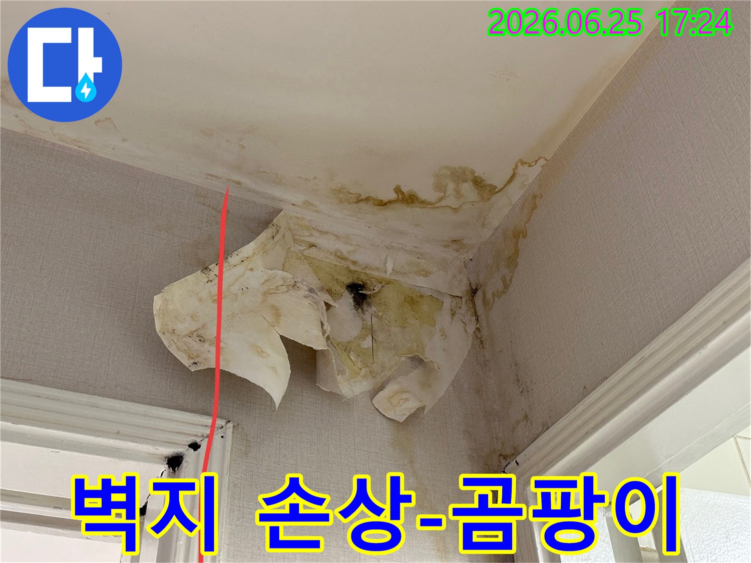 이 이미지는 아파트 내부 천장과 벽 모서리에서 발생한 심각한 누수 흔적과 벽지 손상을 명확히 보여줍니다.