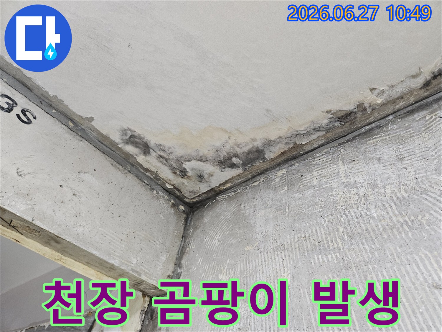 천장과 벽 모서리에 생긴-누수로 인한 곰팡이와-콘크리트 변색이 뚜렷하게 보입니다