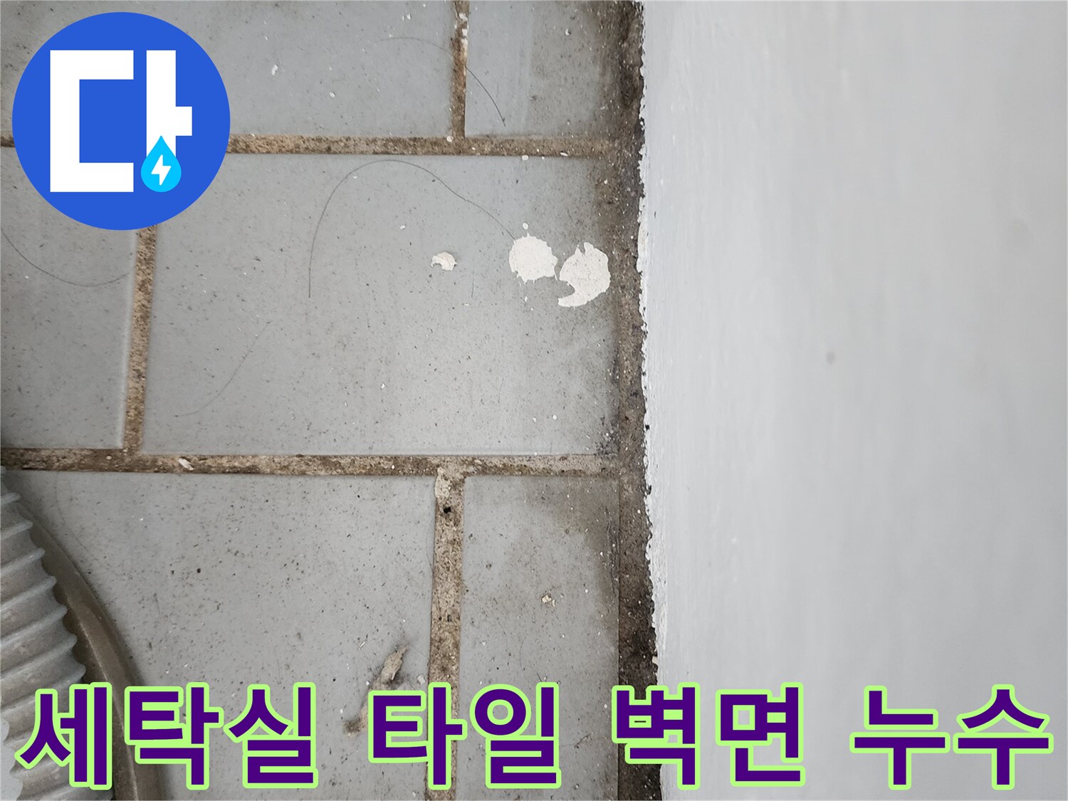 물기가 스며든 베란다 타일 줄눈과 곰팡이 발생 현장