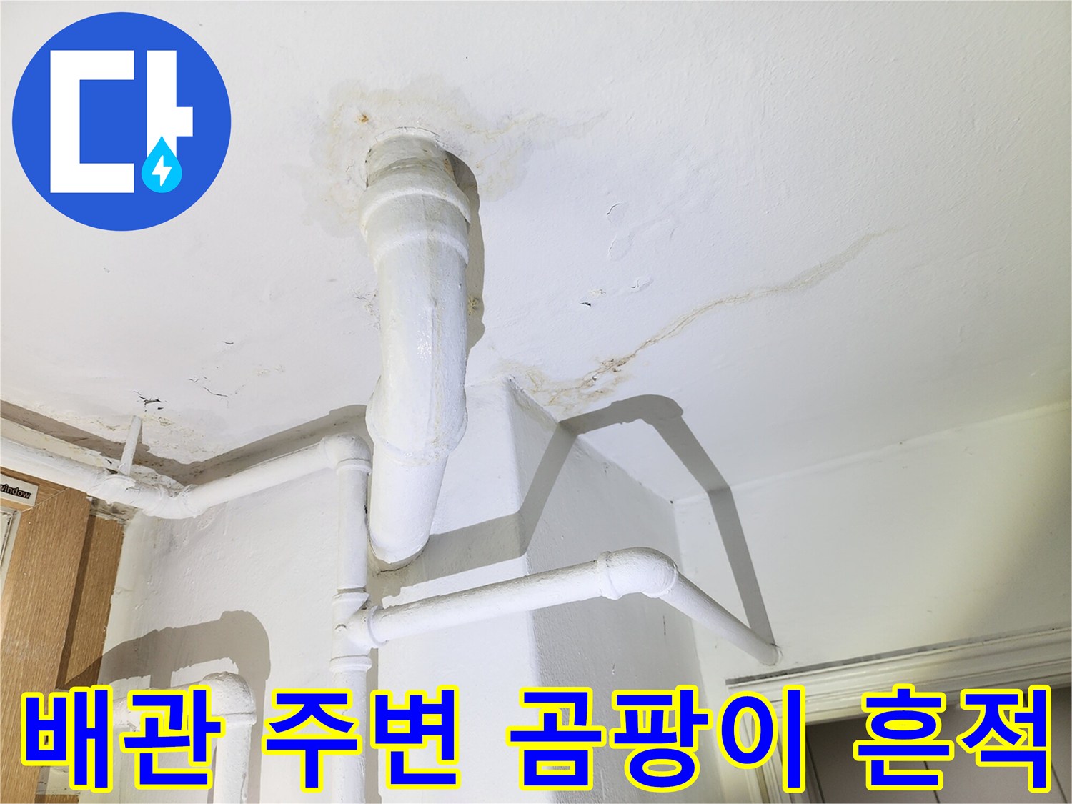 천장 배관 관통부 - 습기로 인해 발생한 곰팡이와 변색된 벽면
