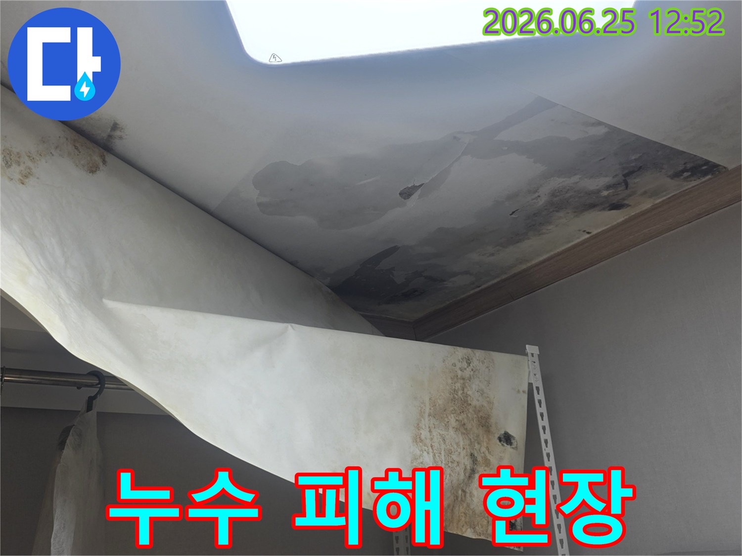 윗집 누수로 발생한-천장 벽지의-심각한 곰팡이와-훼손 상태를 보여줍니다