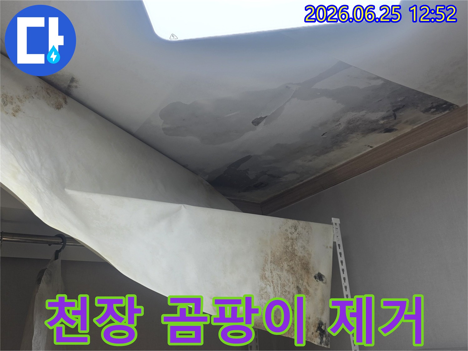 주택 천장에서 물이 새서-벽지가 젖고-심한 곰팡이가 발생한-현장을 제거 중입니다