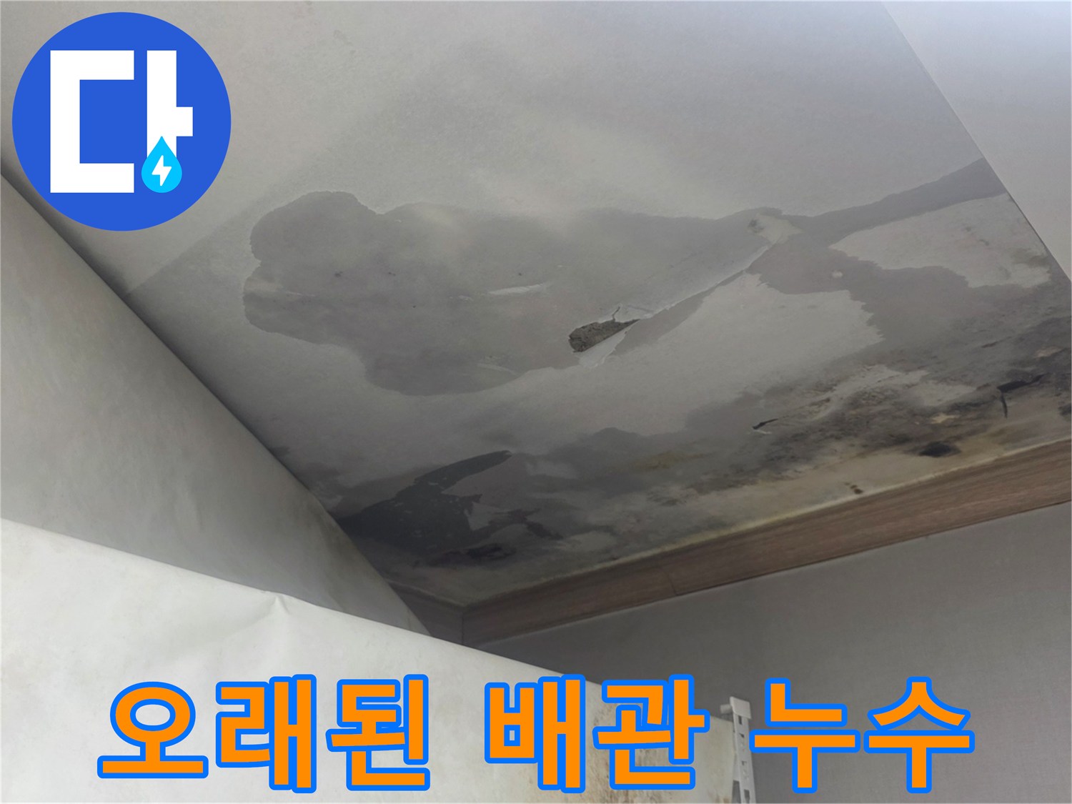 천장 누수와 심한 곰팡이 발생은-오래된 배관 문제로 인한 것일 수 있으며-전문적인 진단과 복구가 필요합니다.
