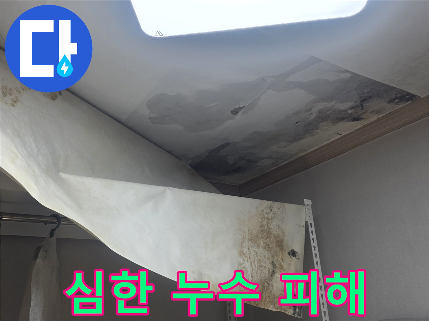 천장에서 물이 새서-벽지가 떨어지고-검은 곰팡이가 가득한-심각한 누수 현장입니다
