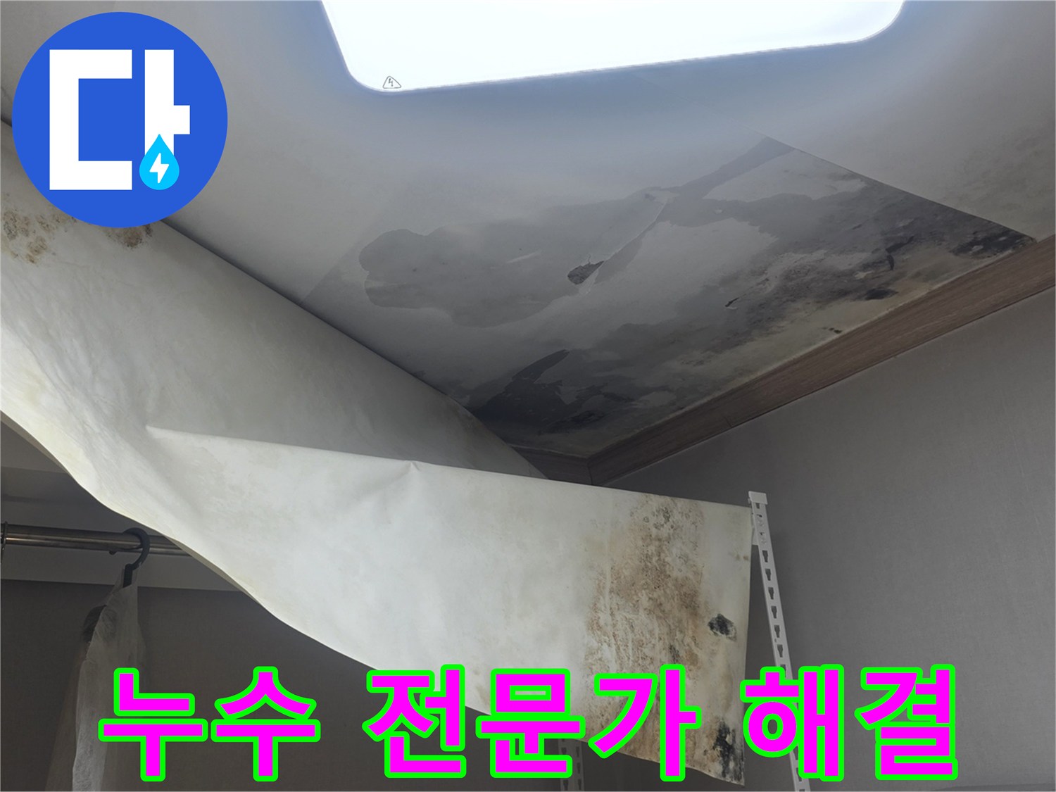 천장에서 물이 새서-벽지가 젖고-곰팡이가 발생한-심각한 누수 현장을-전문가가 완벽하게 해결하고 있습니다