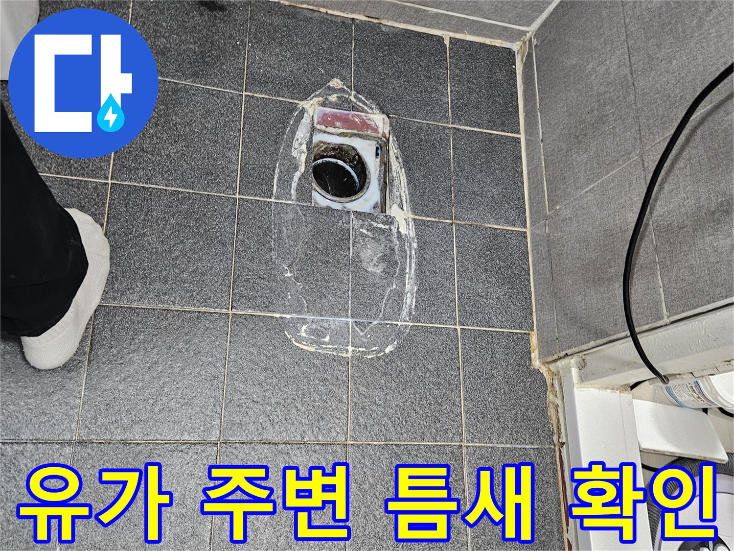 욕실 배수구-유가 주변 타일 사이 균열 점검 중