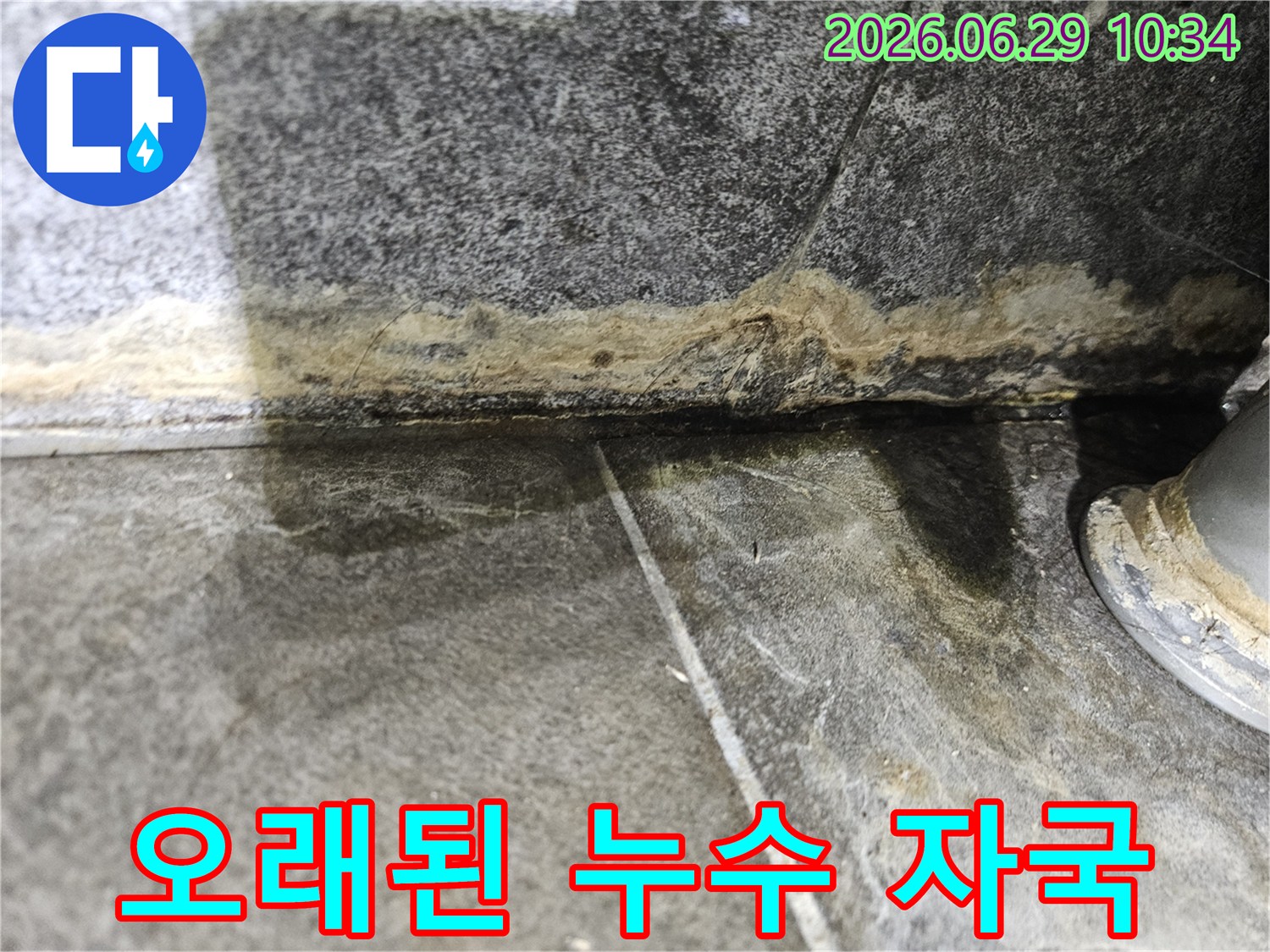물-고임과-함께-곰팡이가-번식하고-있는-누수-현장-클로즈업