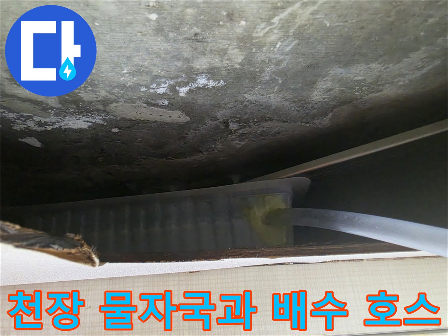 오염된 천장 면-배수용 드레인 호스 설치 상태