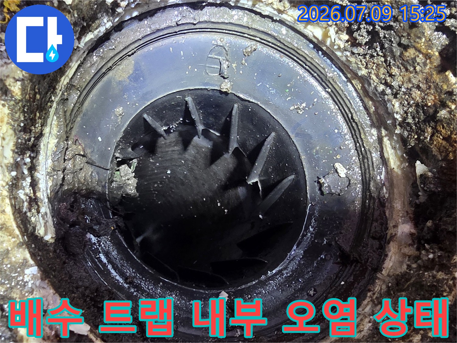 내부에 슬러지가 가득 찬 세탁실 배수용 트랩 구조