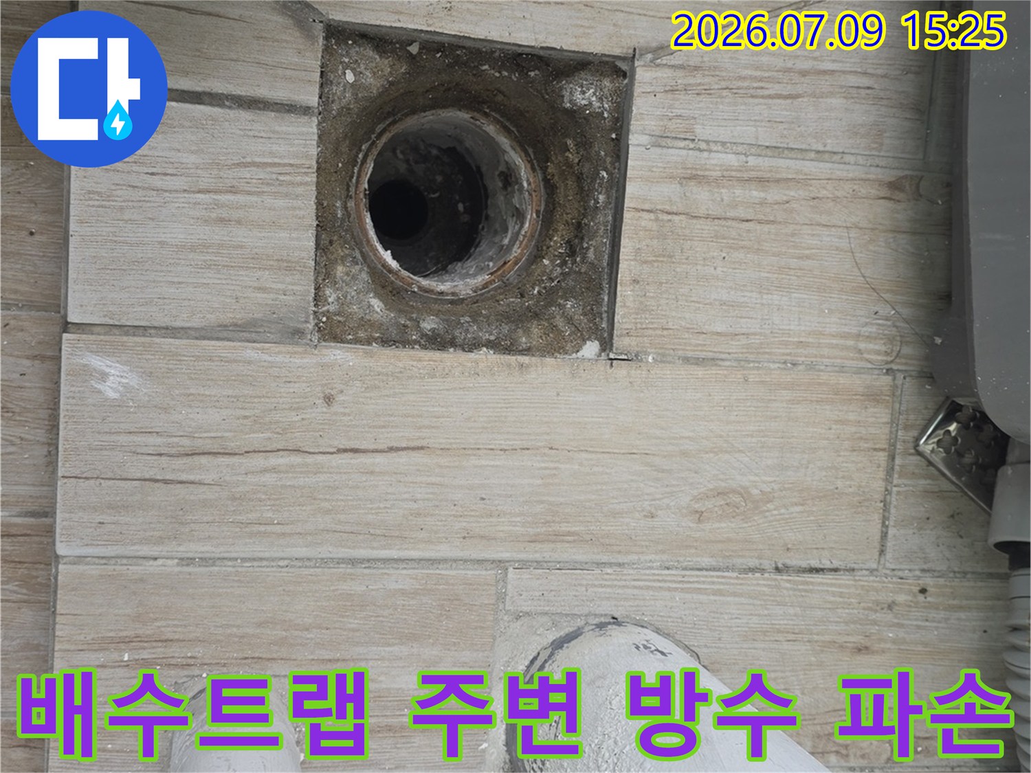 세탁실 배수 트랩 주변의 타일 틈새와 누수 의심 부위