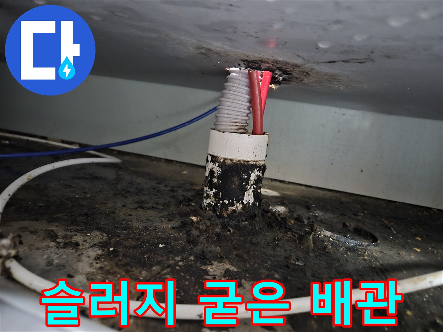 기름 덩어리로 인해 오염된 싱크대 하부 배관