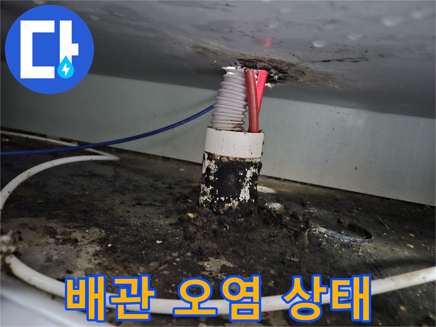 싱크대 하부 배관 연결 부위의 심한 기름때와 오염 상태