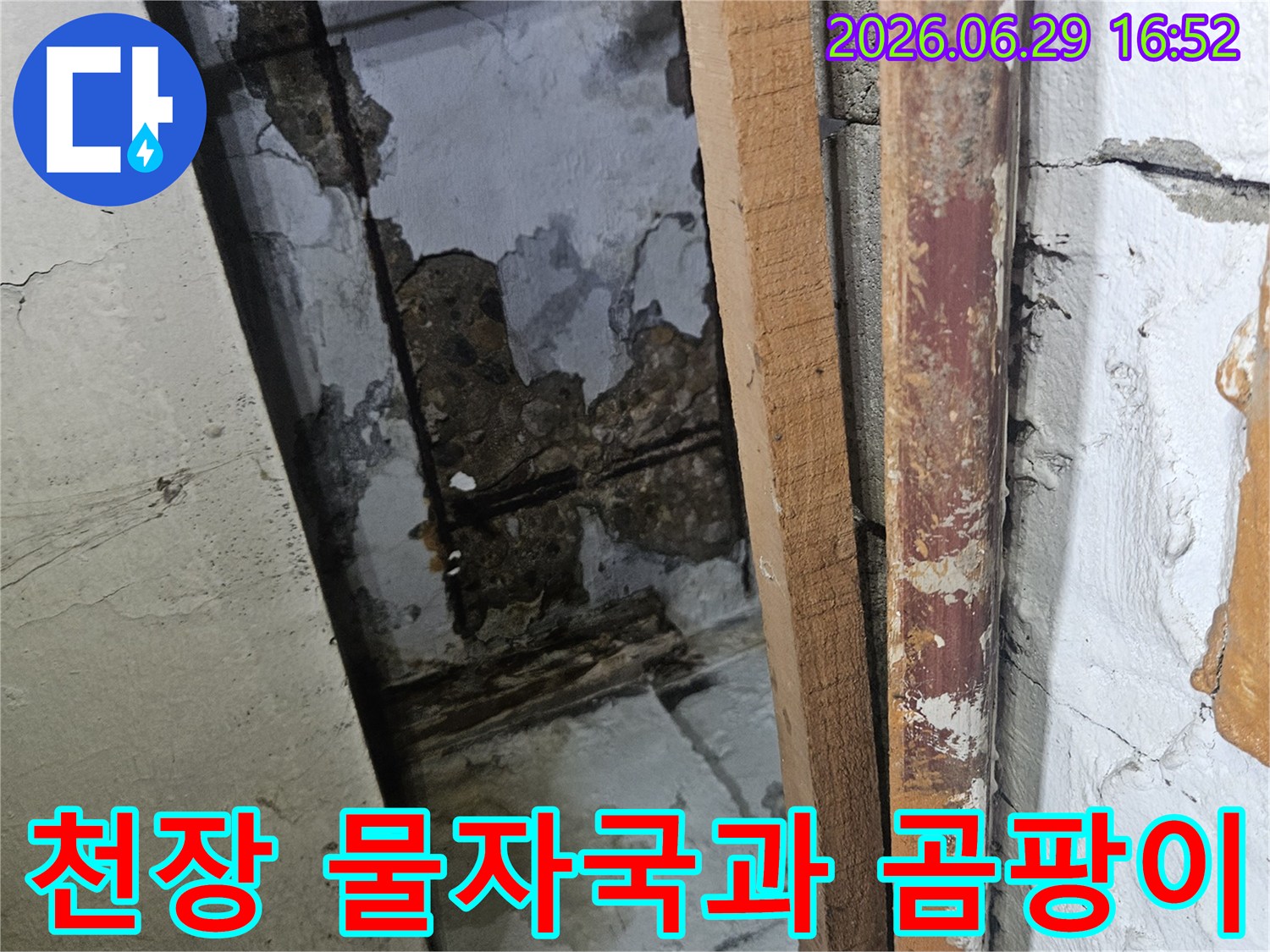 천장에서 물이 새어 발생한 심한 물자국과-곰팡이로 오염된 벽면의 모습