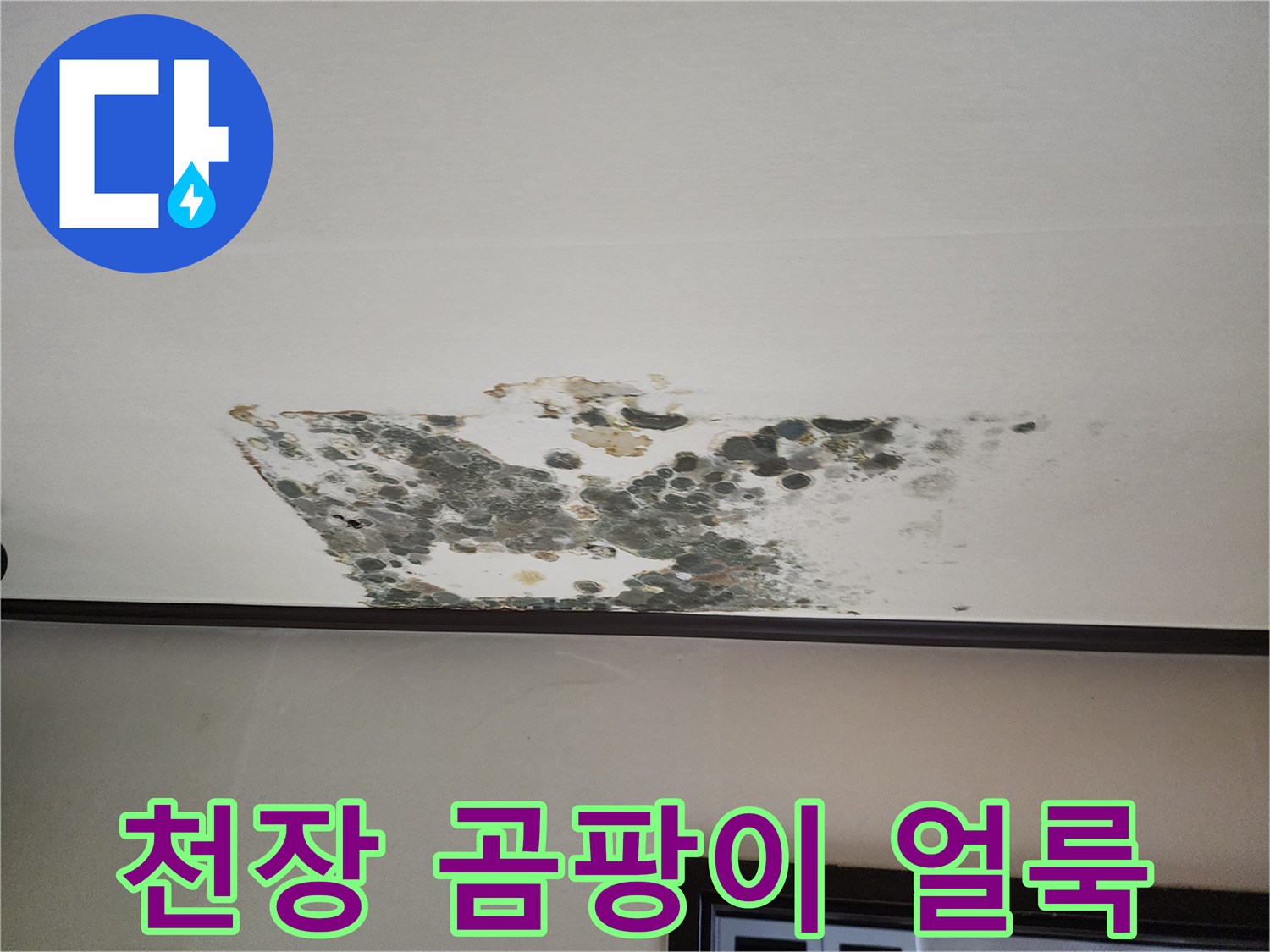 누수로 인한 오염-천장 벽지의 곰팡이 상태