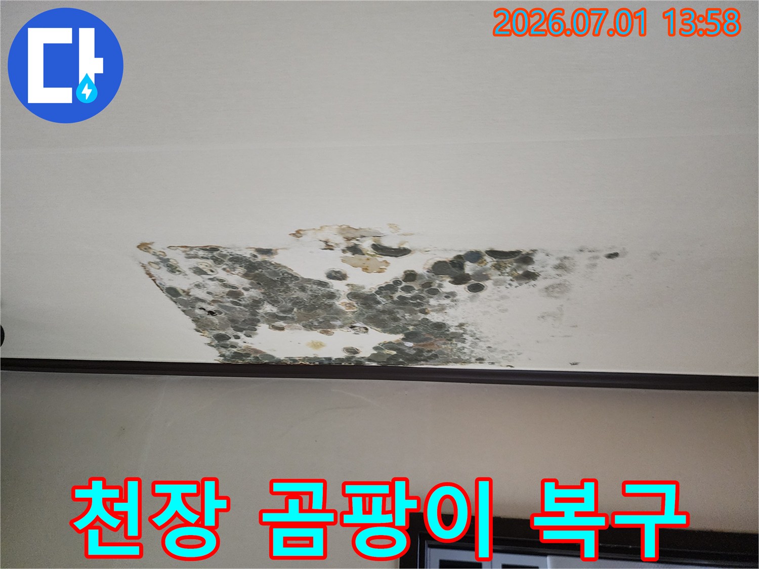 누수로-인해-천장에-발생한-곰팡이-피해-현장을-보여주며-누수-탐지부터-복구까지의-과정을-강조하는-사진입니다