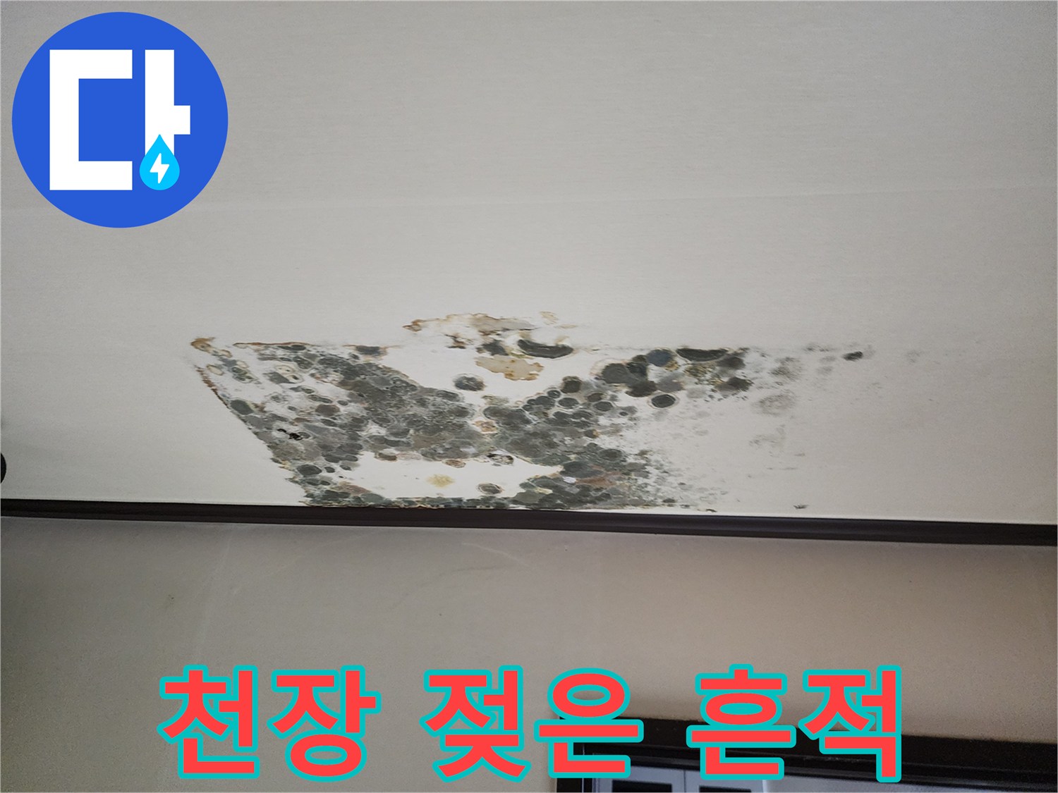 물에 젖어 변색되고 곰팡이가 피어있는 천장 내부 상황