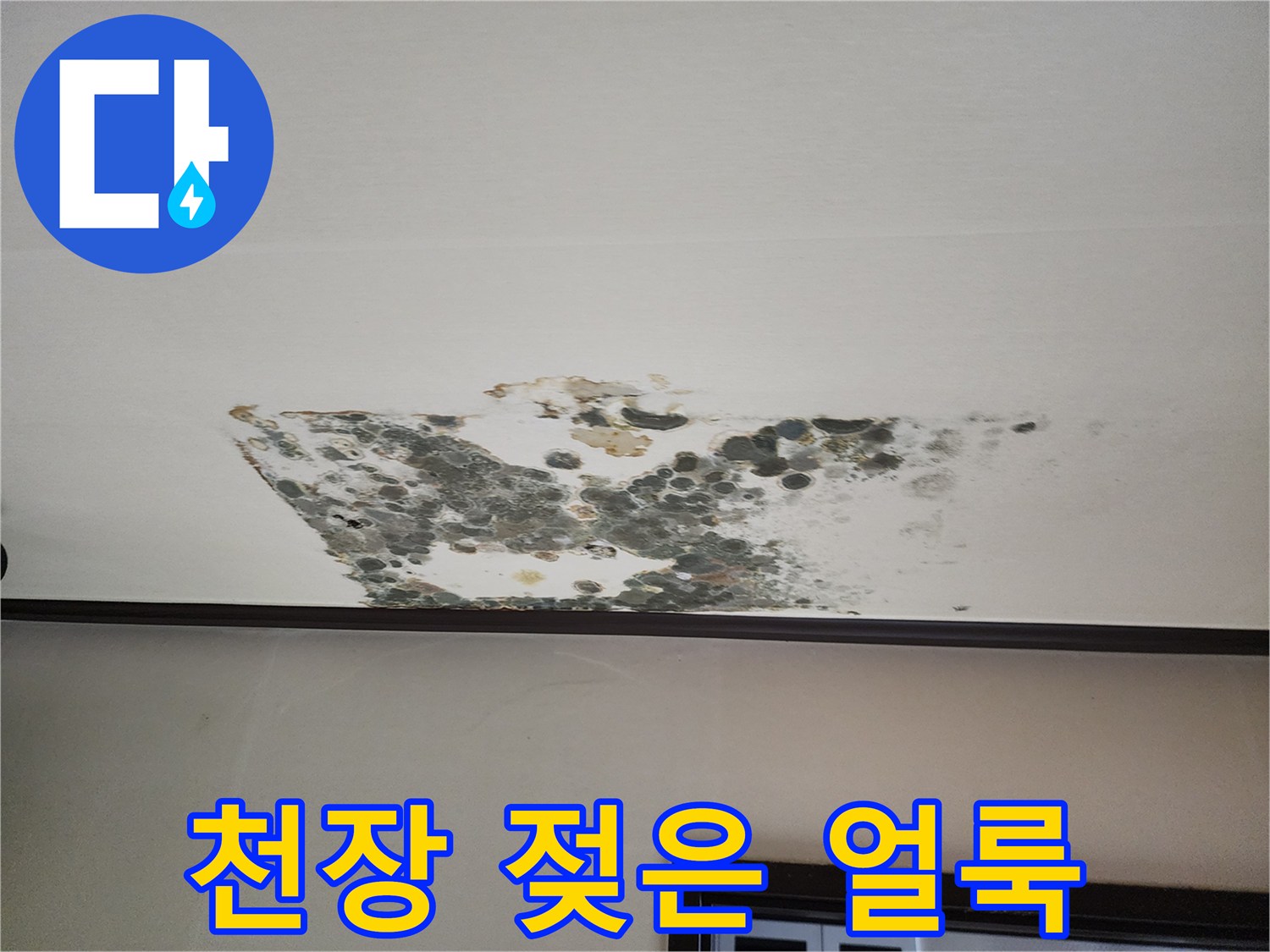 천장 마감재에 나타난 습기 침투와 곰팡이 번식 현황