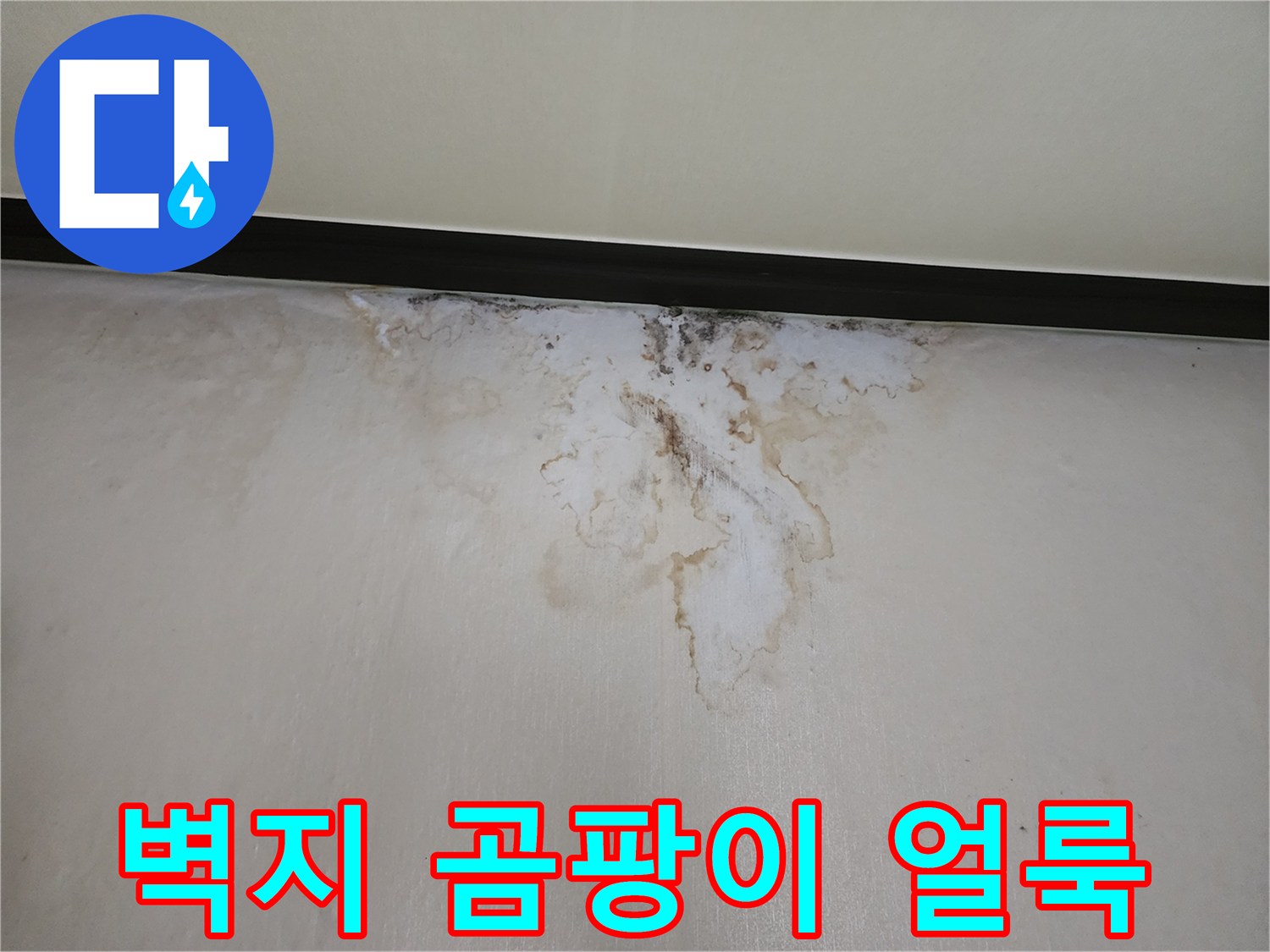 천장 벽면-습기로 인해 번져나간 곰팡이와 물자국