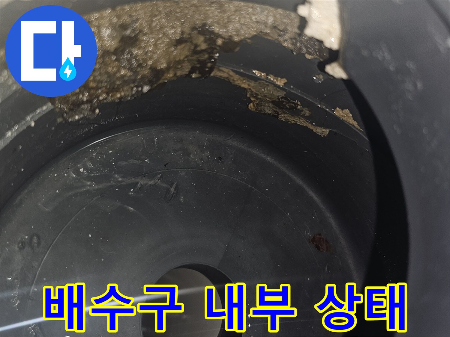 화장실-배수구-내부의-이물질과-틈새-상태