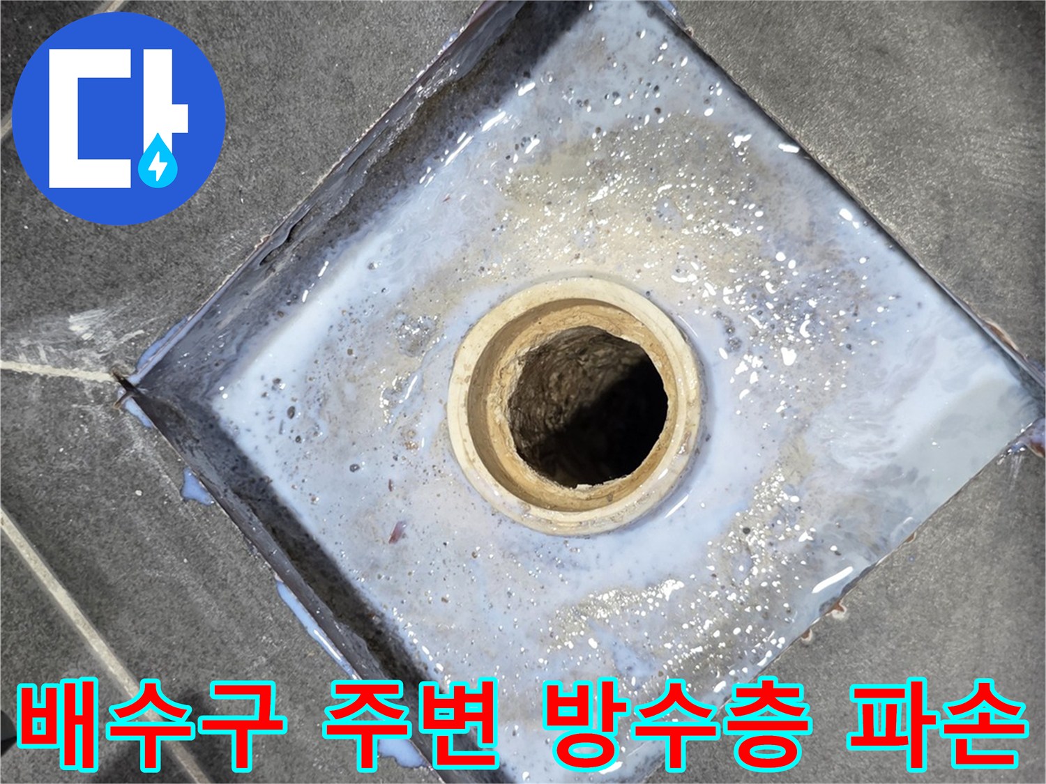화장실-배수구-주변-방수층-탈락-현장-사진