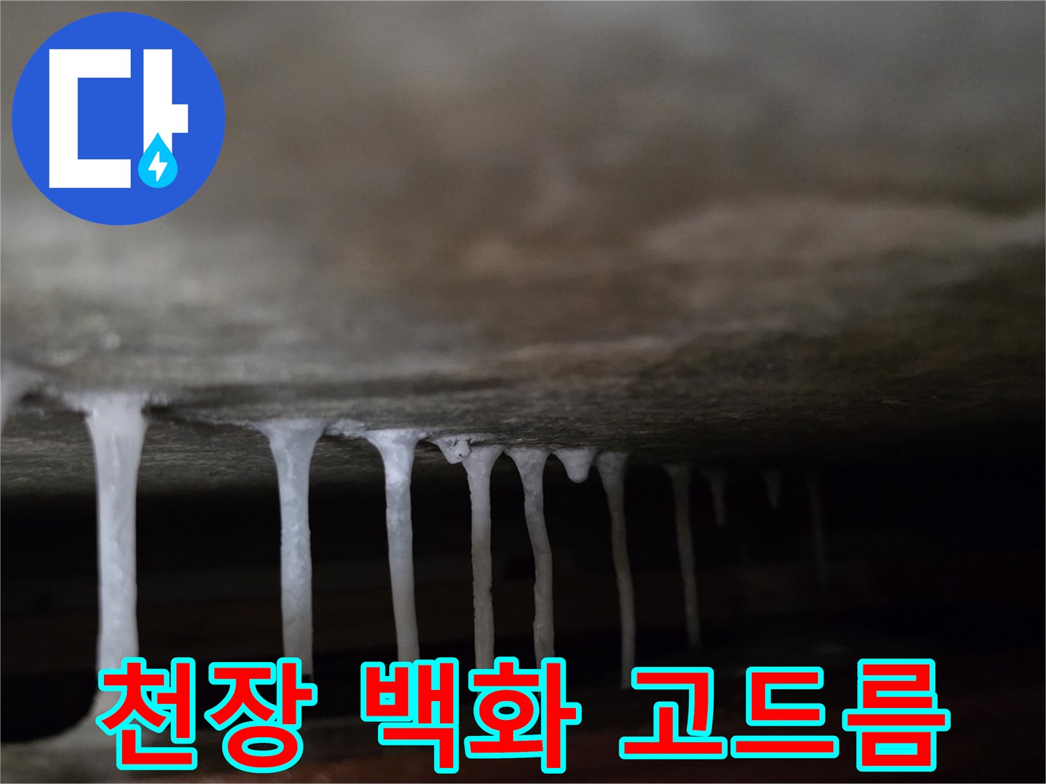 천장 슬래브-석회 성분이 굳어 생성된-고드름 형태의 흔적