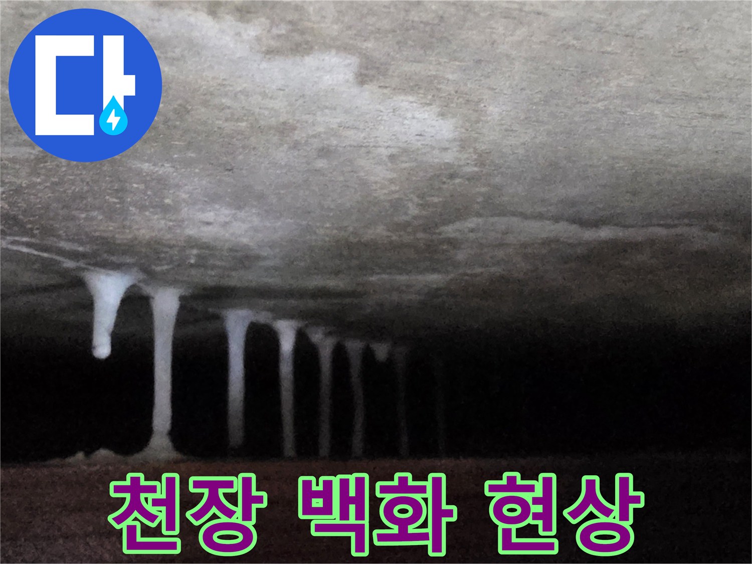 하얗게-맺힌-석회물-고드름-모습