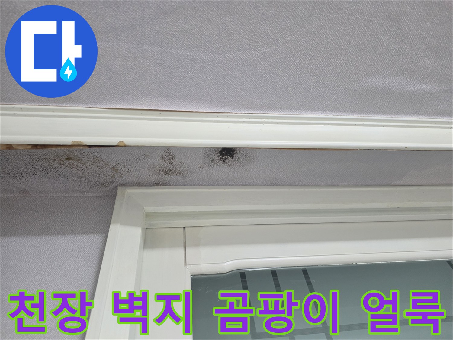 창틀 위쪽 벽지에 발생한 검은색 곰팡이와 물자국 흔적