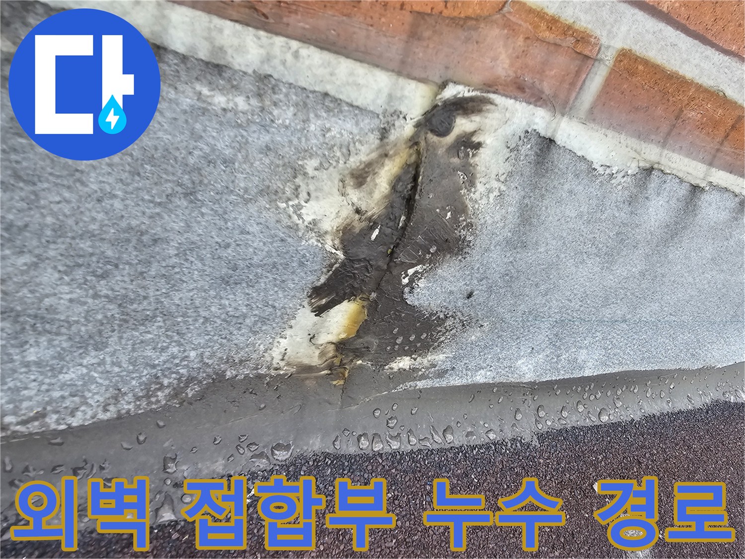 갈라지고 들뜬 상태의 외벽 방수층과 실란트 상세 모습