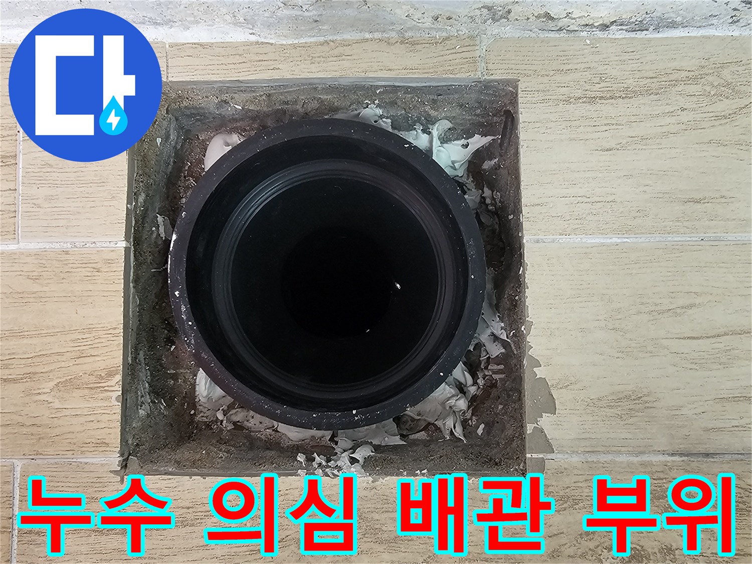 물이 고여 있는 듯한 우수관 주변 배관 입구