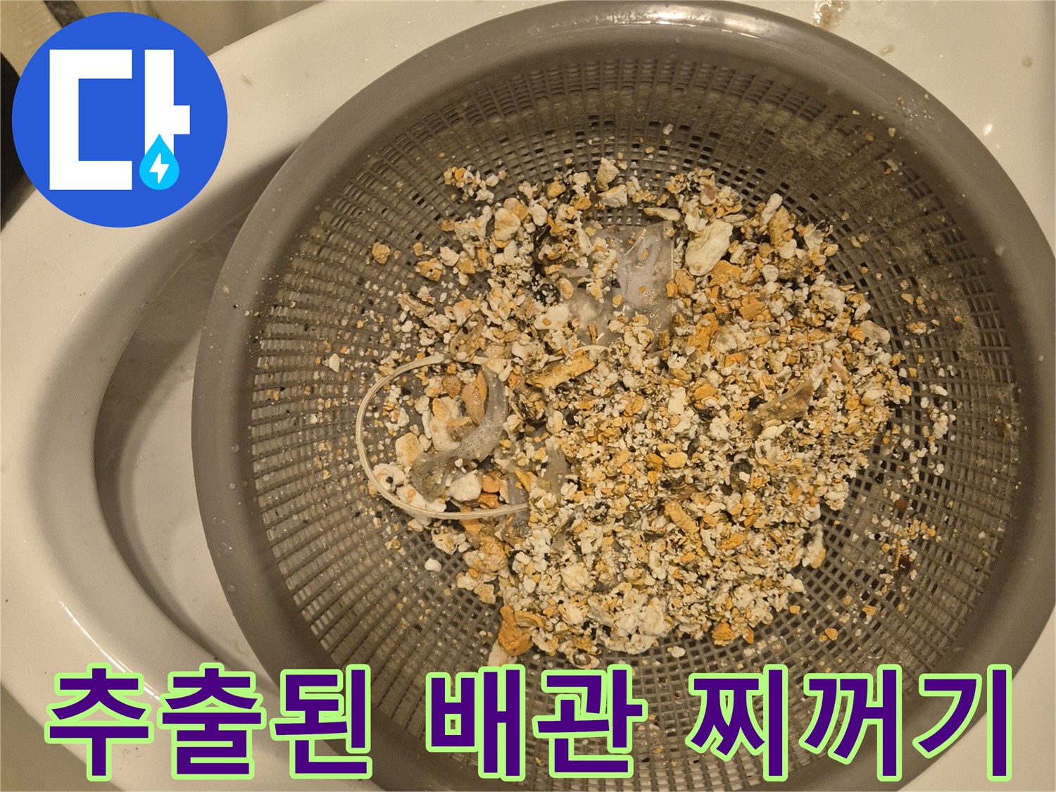 싱크대 하수구에서 올라온 기름 슬러지와 잔여물