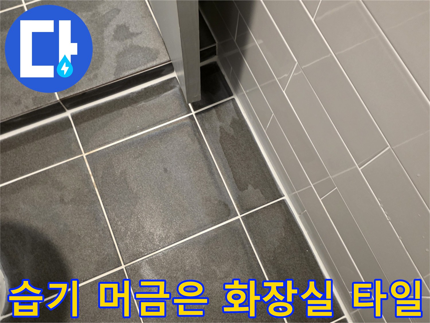 물기가 스며들어 변색된 욕실 바닥과 벽체 경계 부위