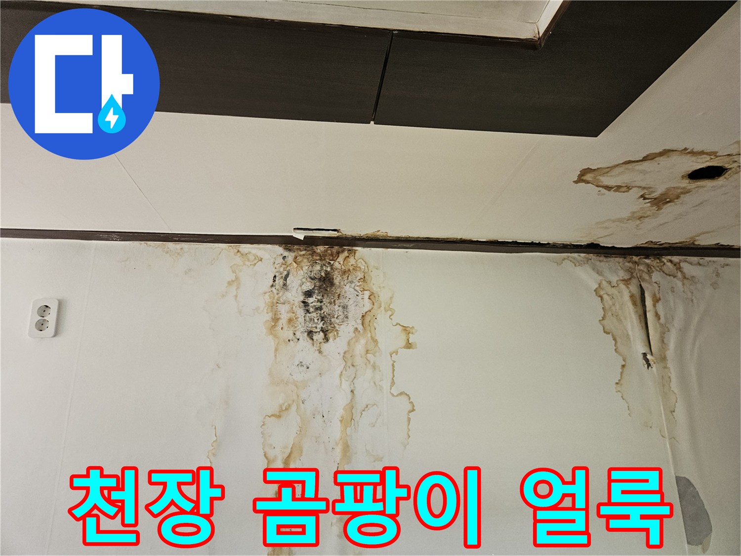 물샘-현상으로-오염된-아래층-천장-및-벽면-마감재