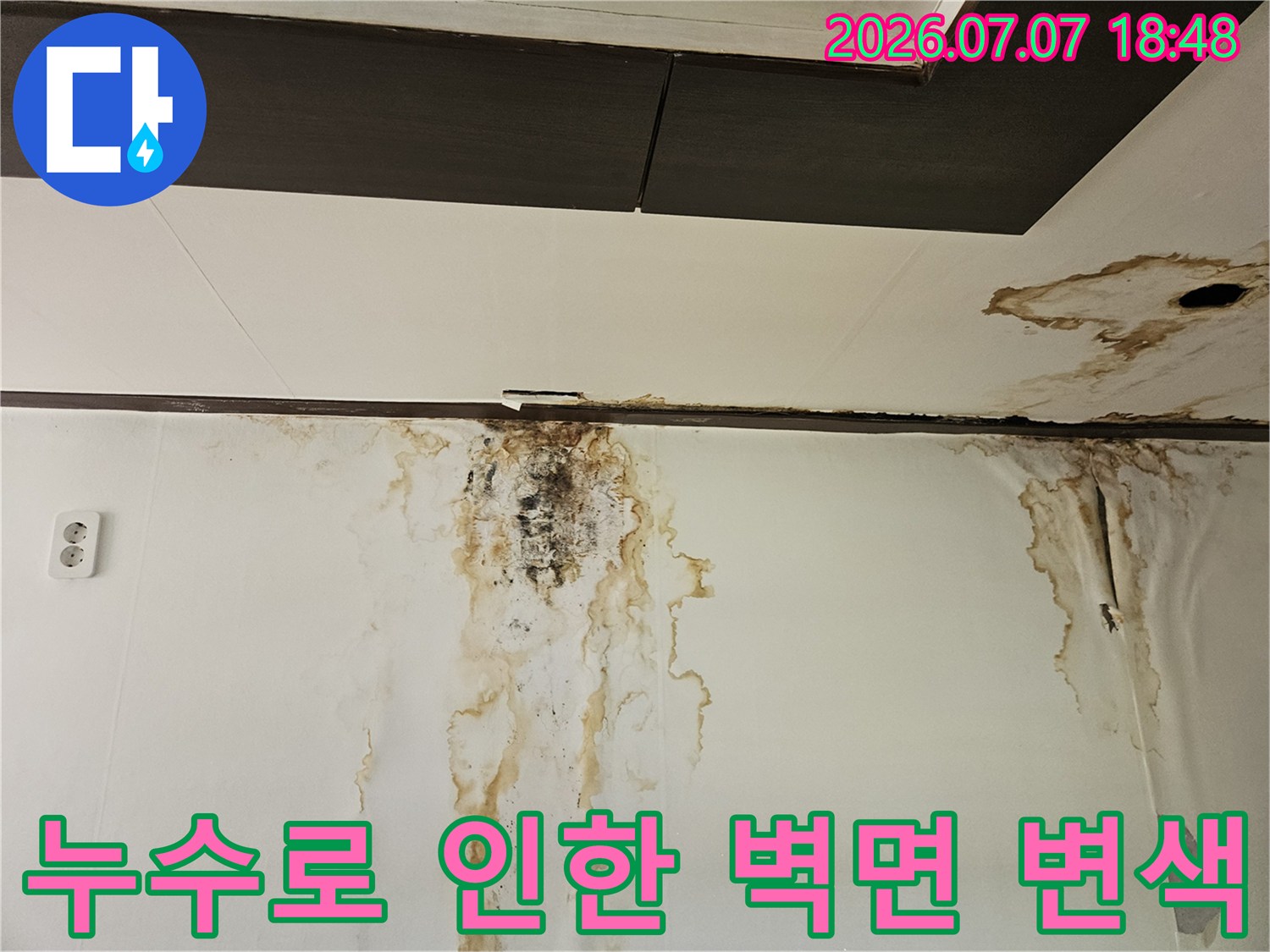 벽과 천장의 경계면에 발생한 누수 물자국 및 곰팡이 오염
