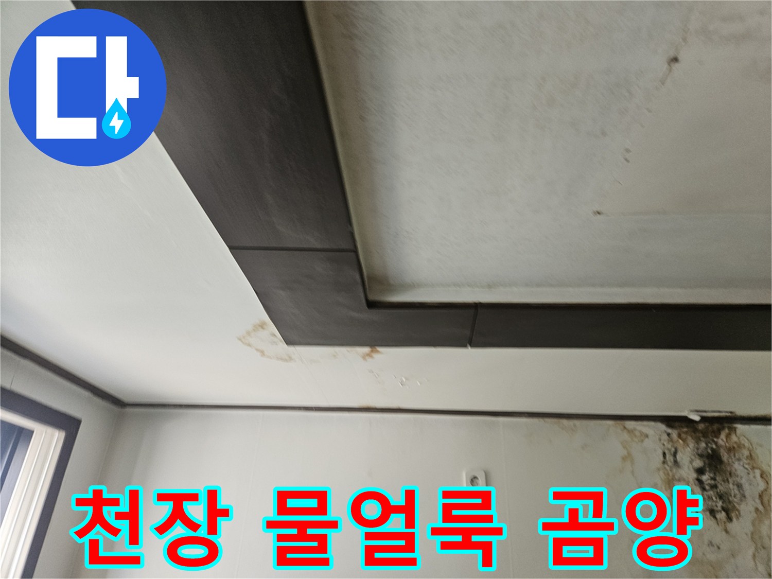 성북구-정릉동-아파트-천장-물자국과-곰팡이-발생-상태