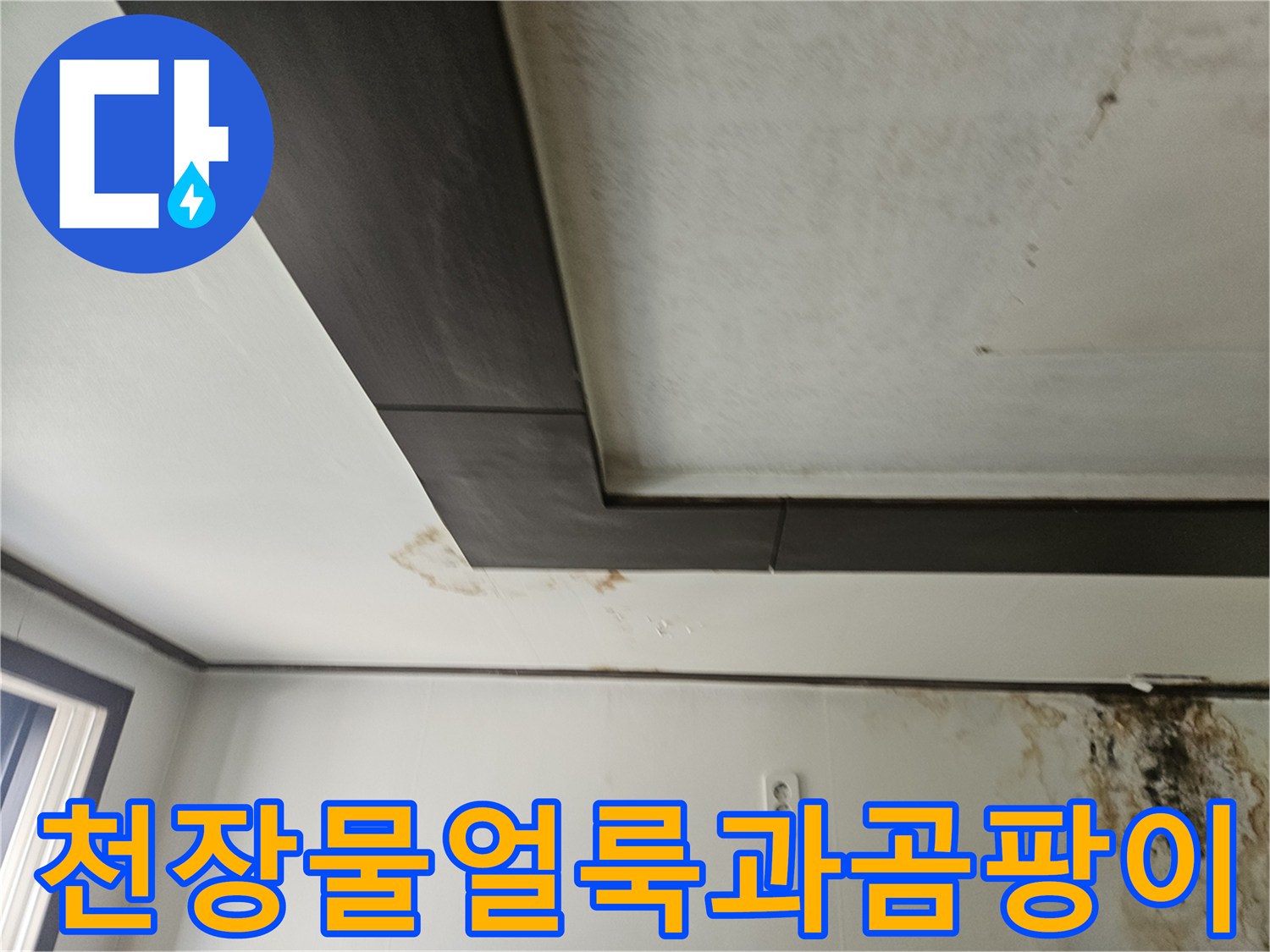 성북구 정릉동 아파트-천장 부근의 갈색 물 얼룩 및 곰팡이 발생 상태