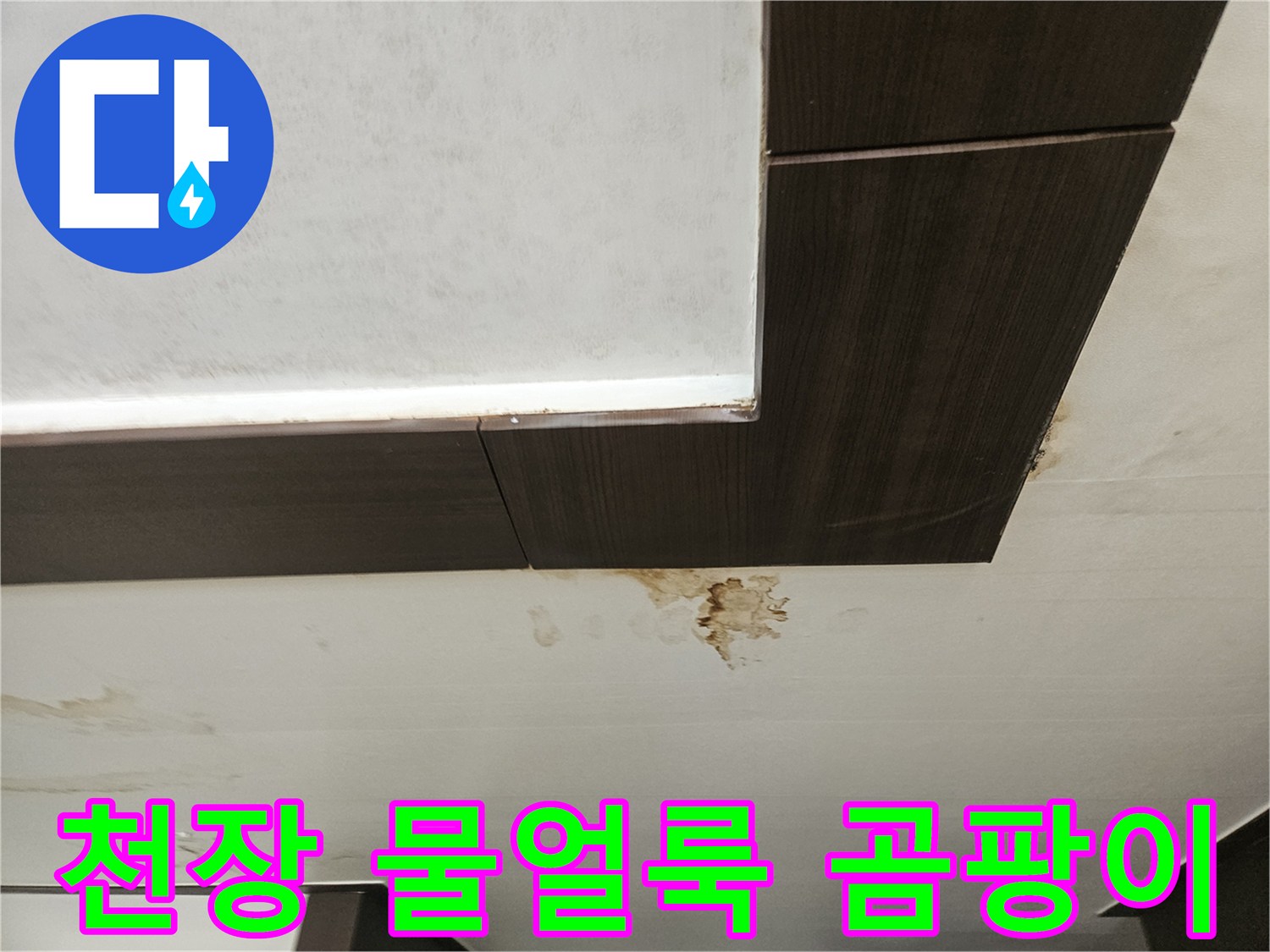 성북구 정릉동 아파트 천장의 갈색 물얼룩과 곰양 현상