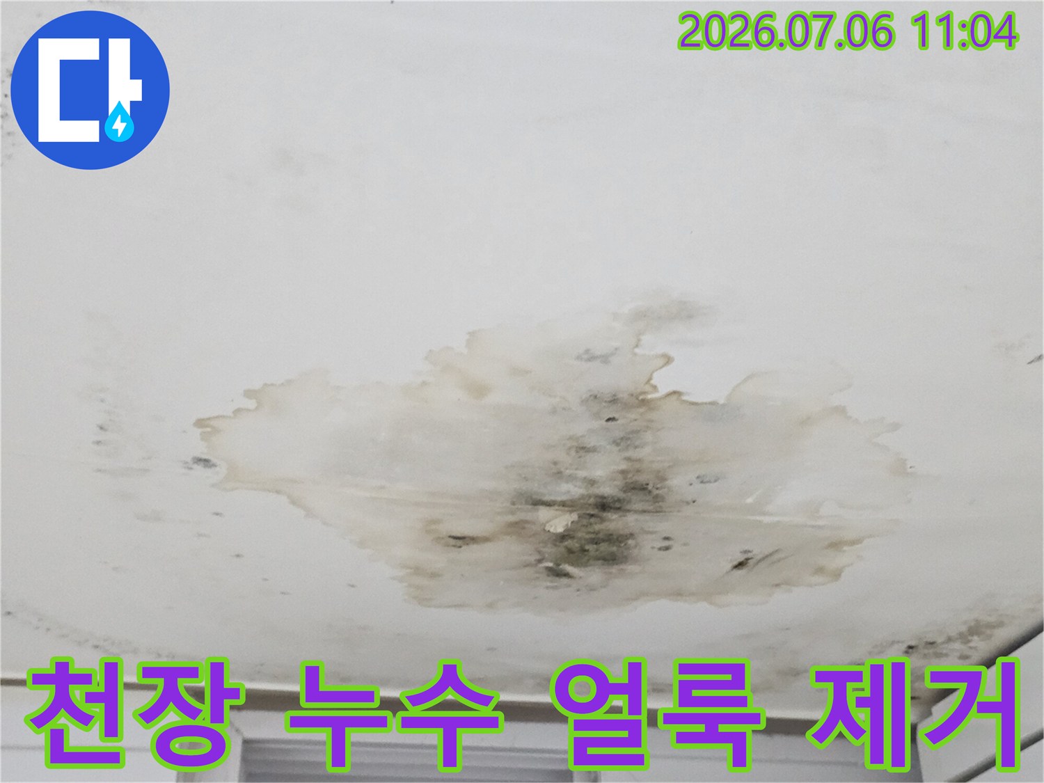 습기 및 곰팡이로 오염된 지하 천장 면의 상태