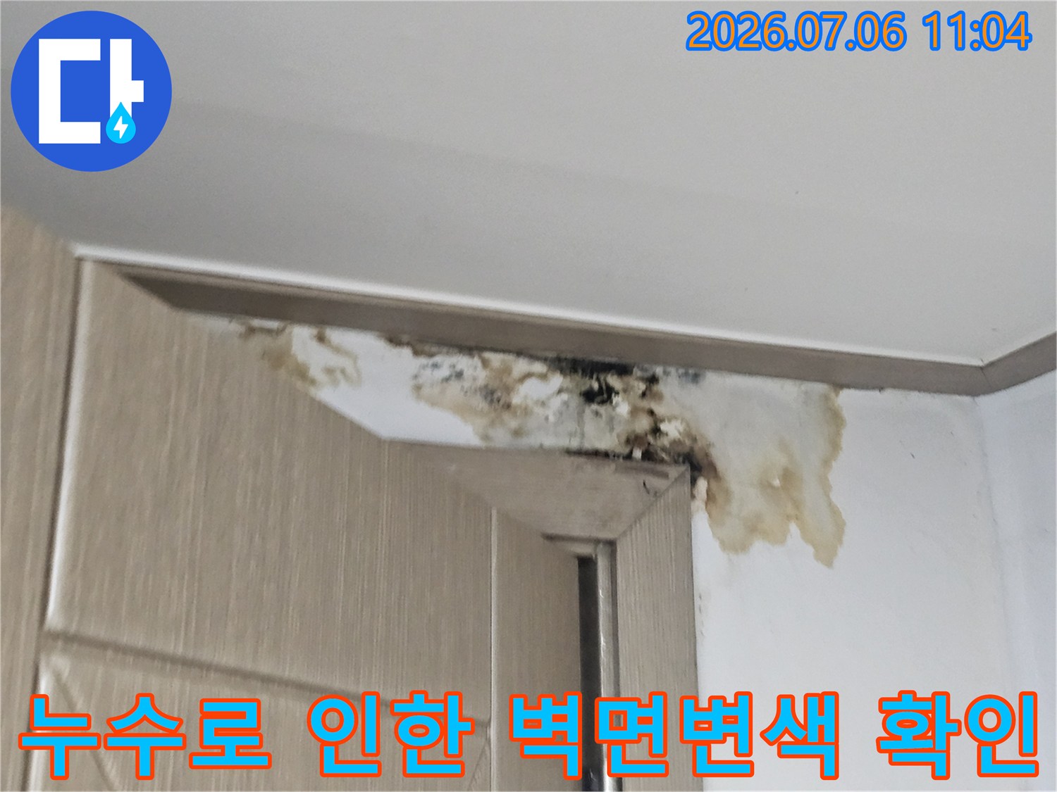 지하층 천장 모서리 부위의 누수 얼룩 및 곰팡이 발생 현장 사진