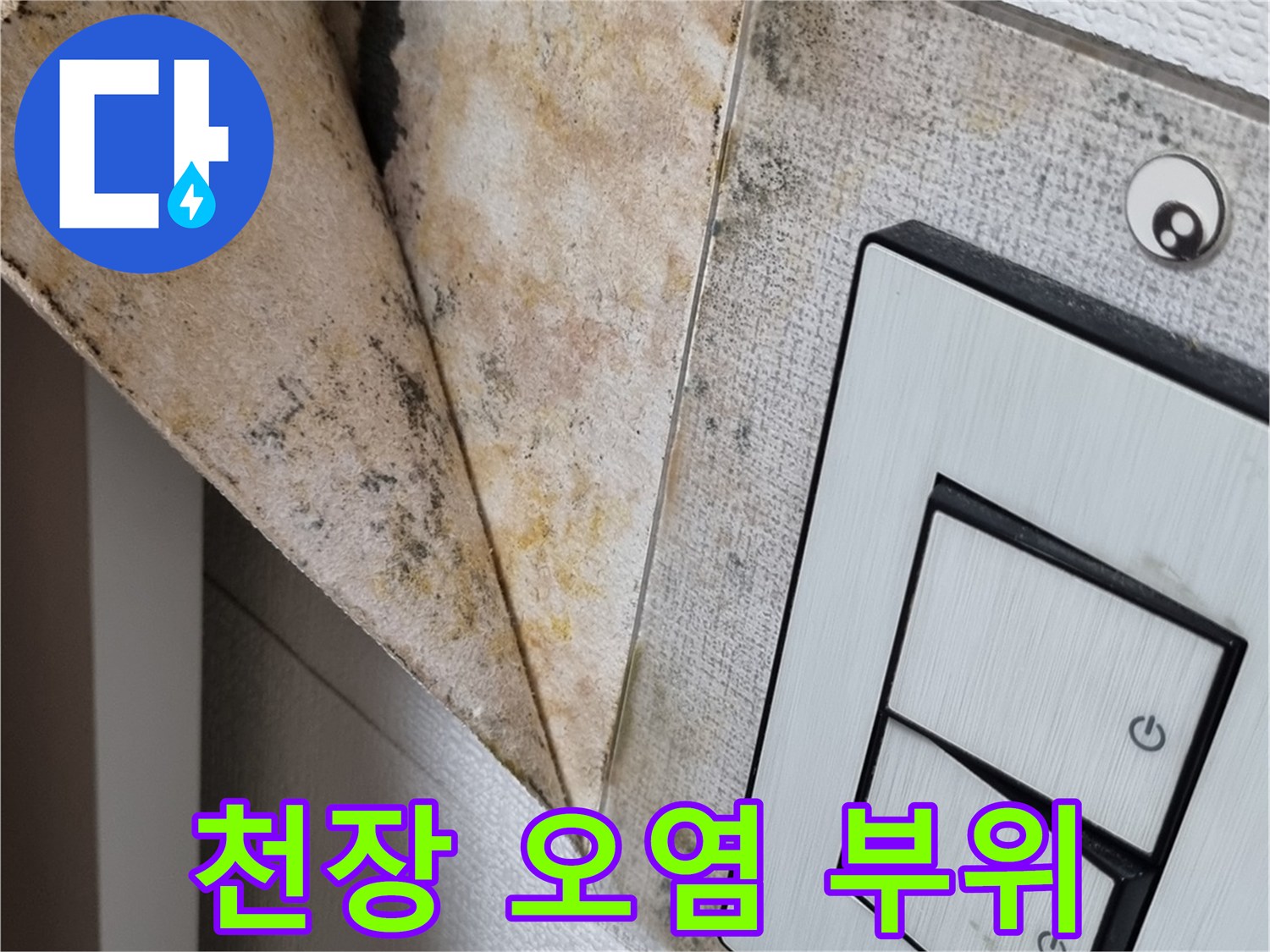 스위치-주변-벽지-오염-상태