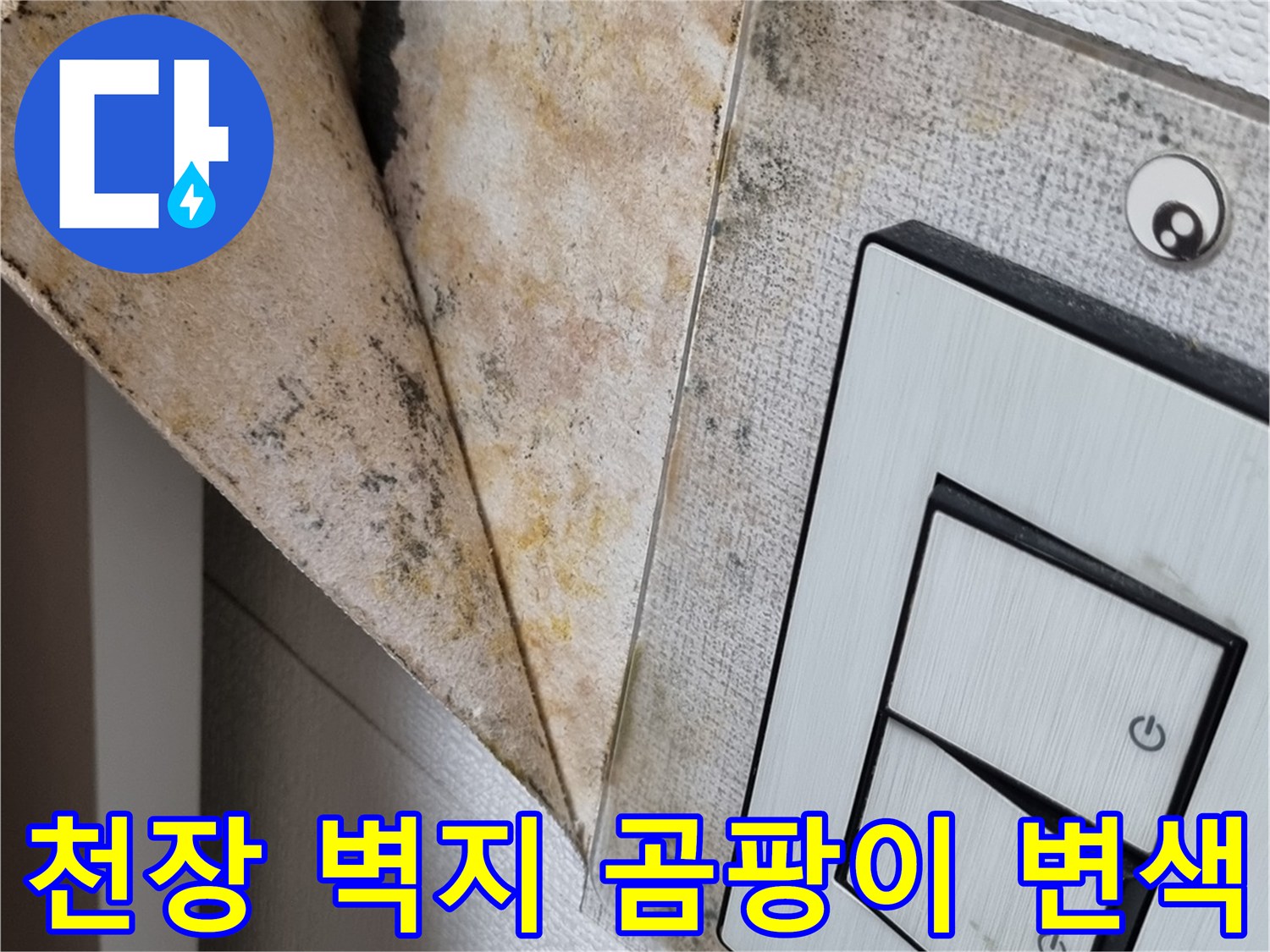 인천 서구 아파트 천장 부근의 심한 곰팡이와 벽지 변색 상태