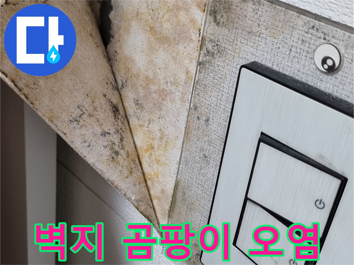 전기-스위치-부근-벽지-들뜸과-곰팡이-발생-현황