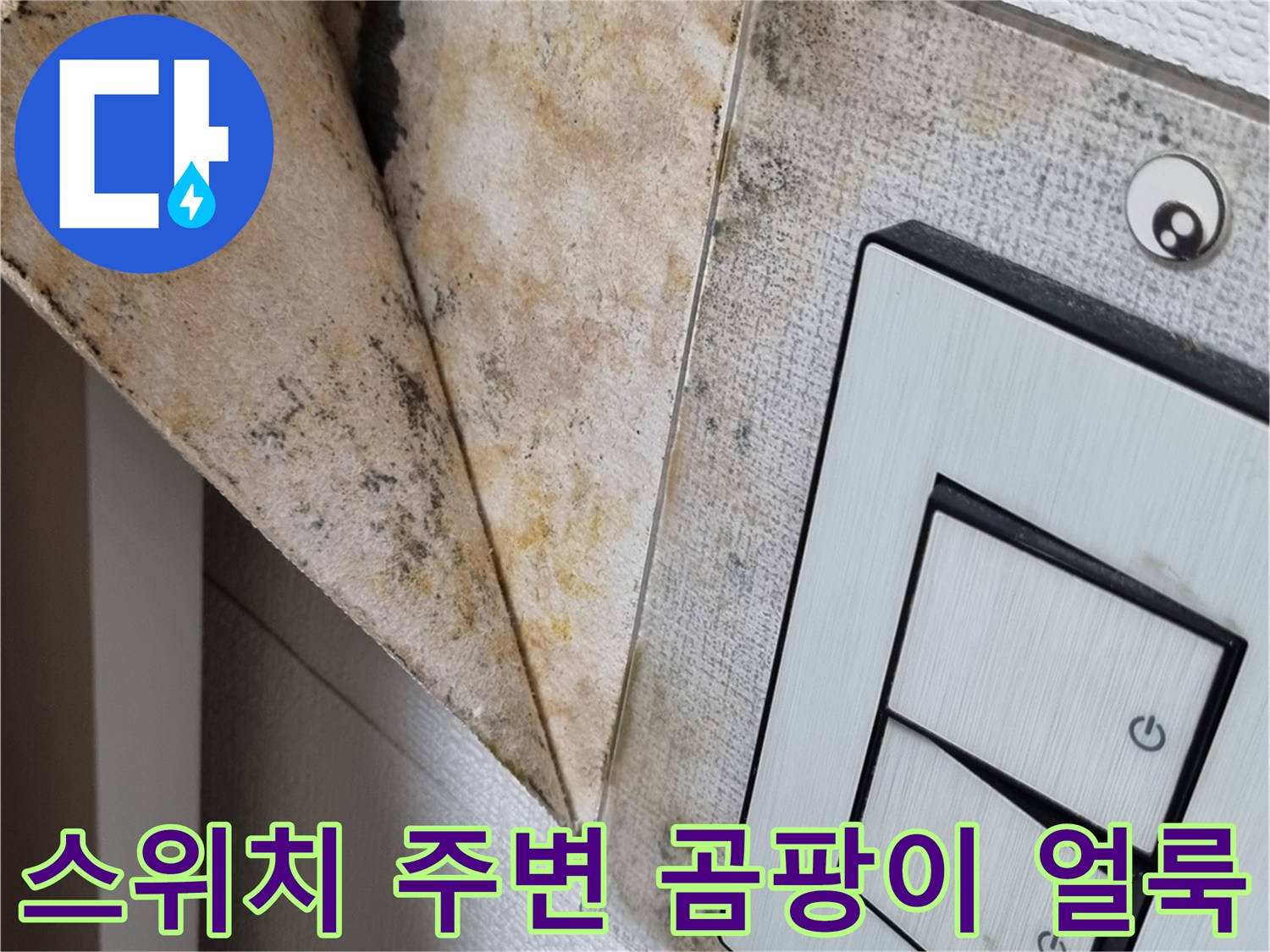 전등 스위치 근처에 발생한 심한 곰팡이와 얼룩